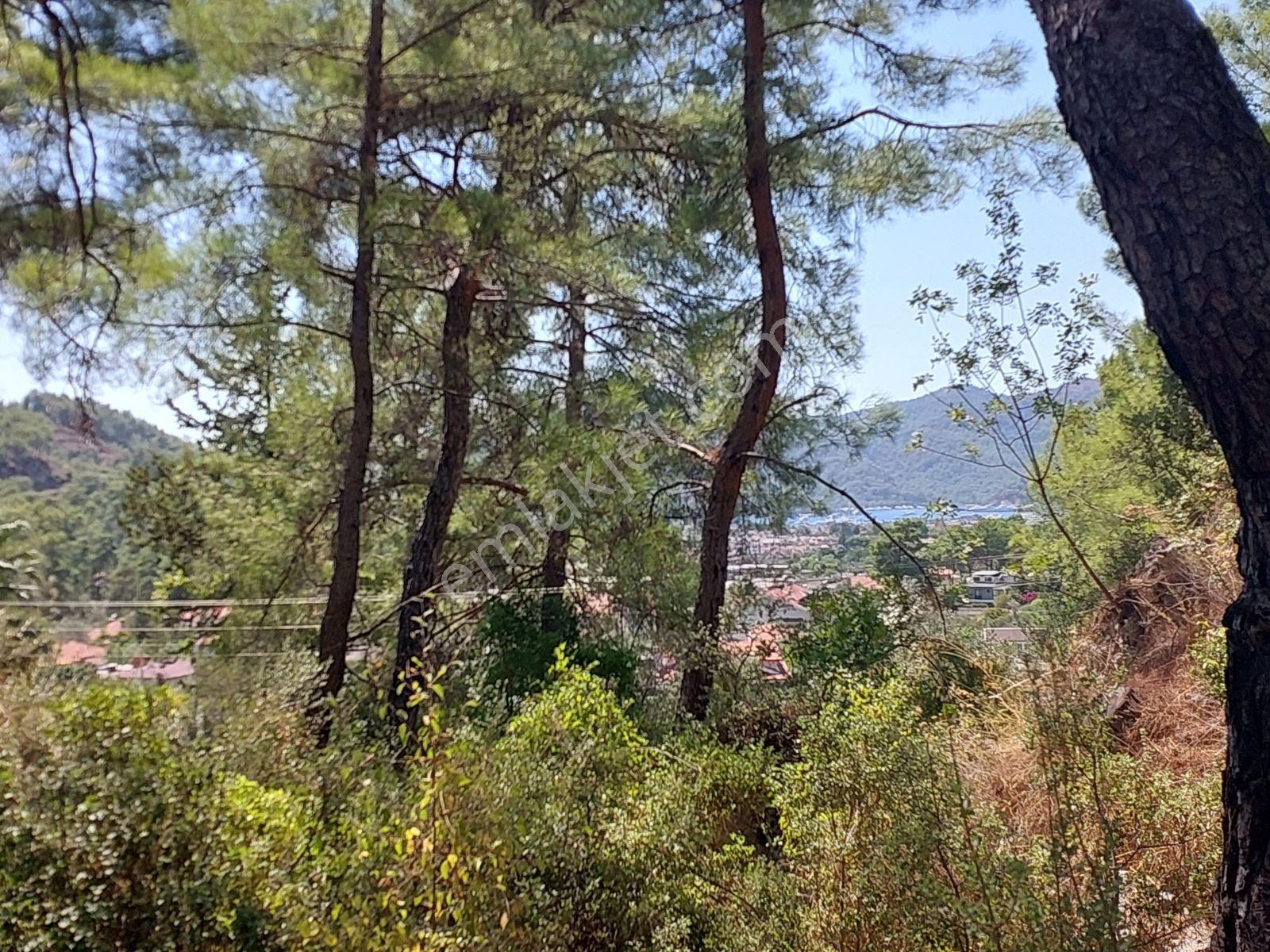 Göcekte Full Panaromik Deniz Manzaralı 6080m2 Satılık Arazi — fotoğraf 3