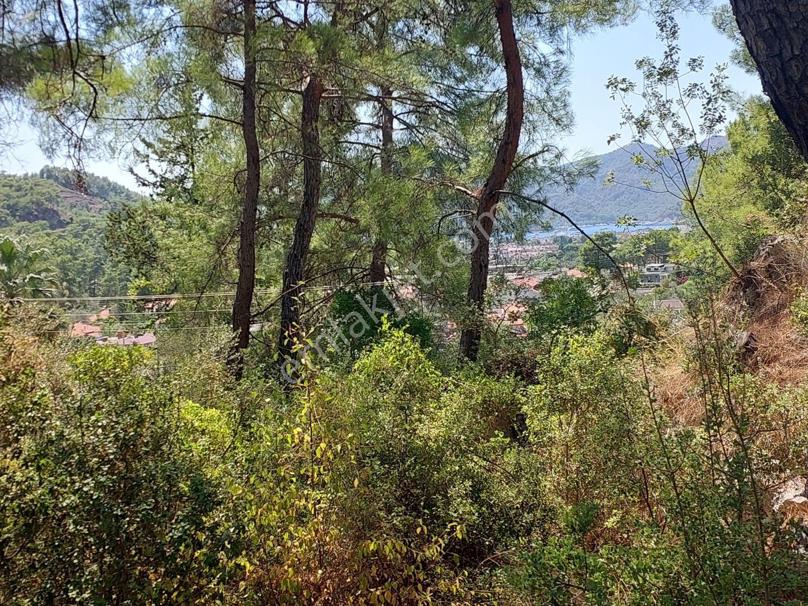 Göcekte Full Panaromik Deniz Manzaralı 6080m2 Satılık Arazi — fotoğraf 4