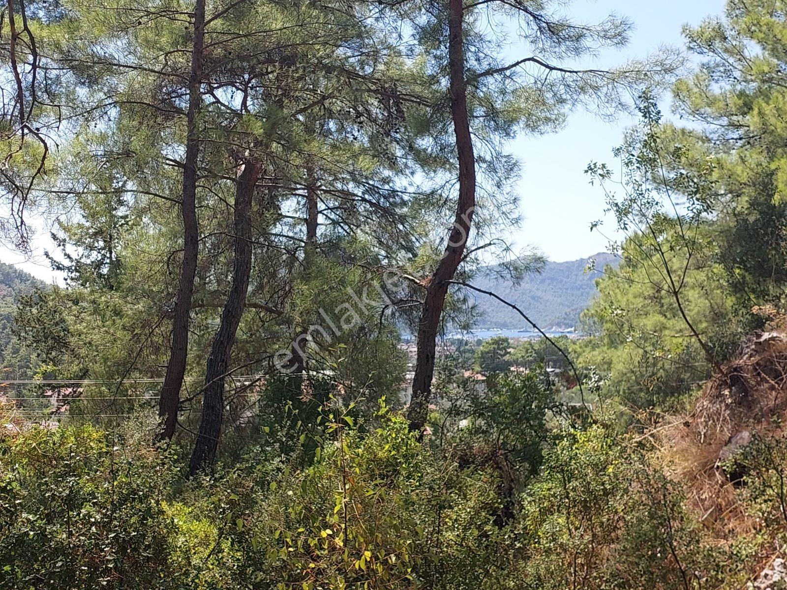 Göcekte Full Panaromik Deniz Manzaralı 6080m2 Satılık Arazi — fotoğraf 5