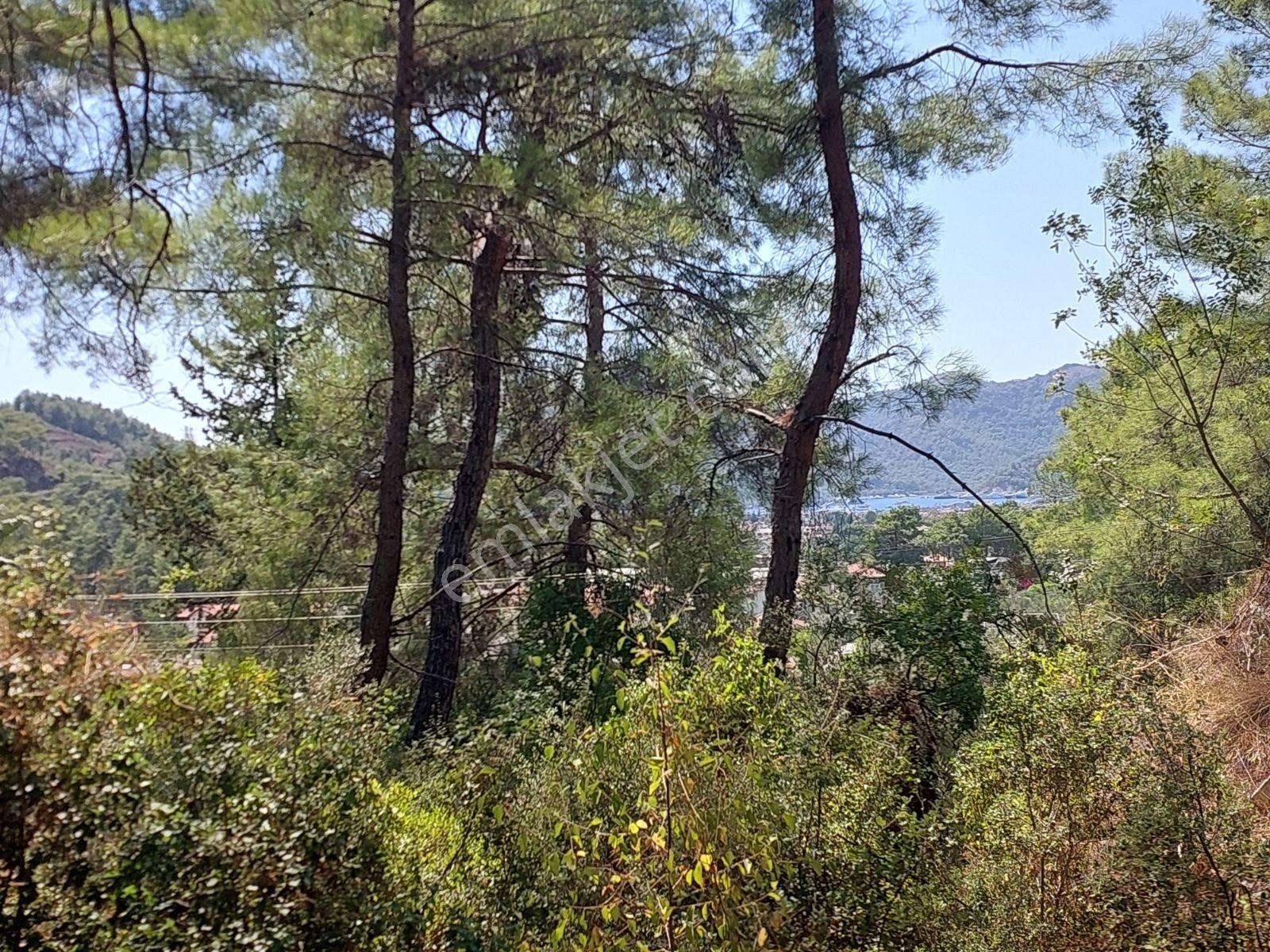 Göcekte Full Panaromik Deniz Manzaralı 6080m2 Satılık Arazi — fotoğraf 6