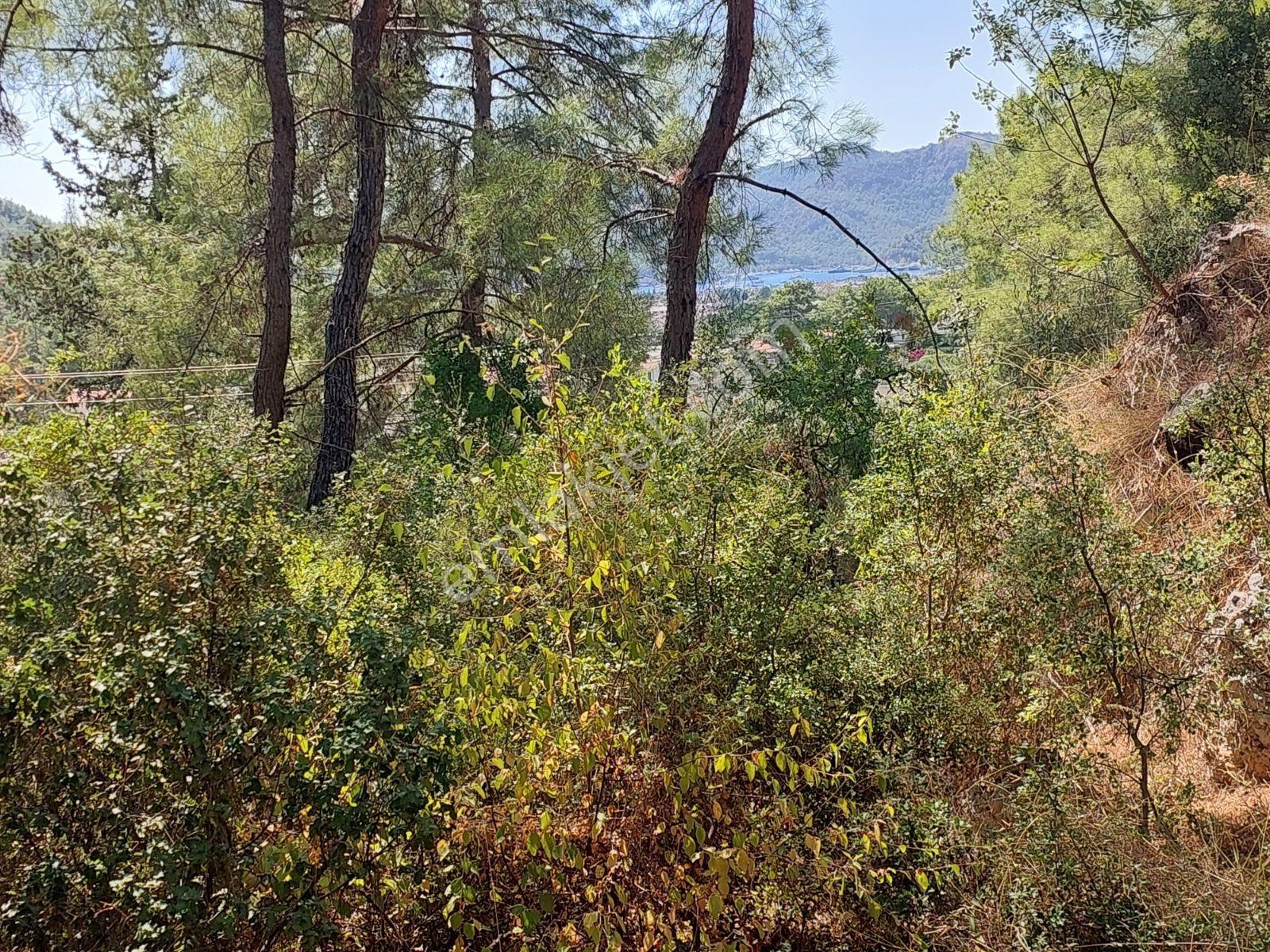 Göcekte Full Panaromik Deniz Manzaralı 6080m2 Satılık Arazi — fotoğraf 7