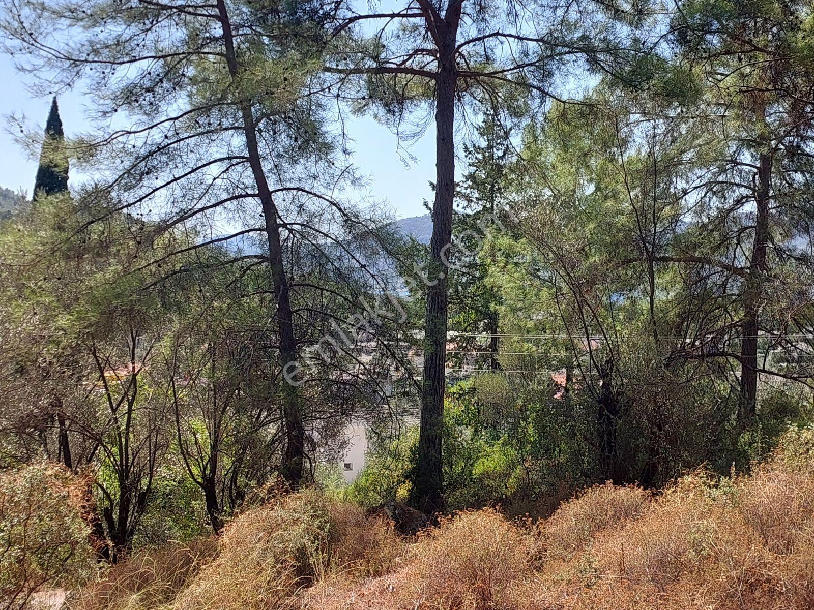 Göcekte Full Panaromik Deniz Manzaralı 6080m2 Satılık Arazi — fotoğraf 8