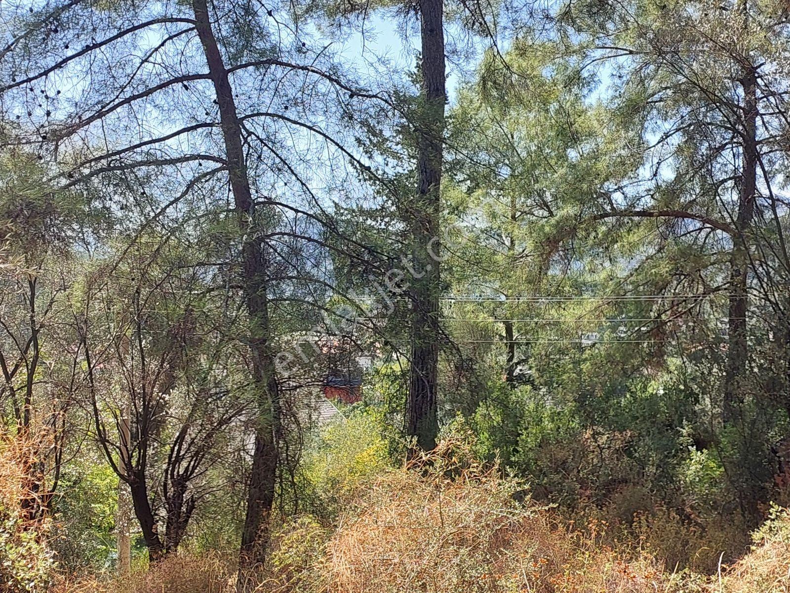 Göcekte Full Panaromik Deniz Manzaralı 6080m2 Satılık Arazi — fotoğraf 12