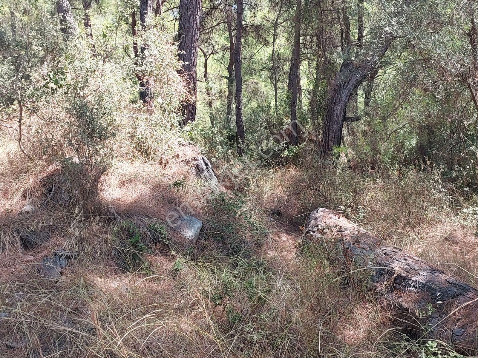 Göcekte Full Panaromik Deniz Manzaralı 6080m2 Satılık Arazi — fotoğraf 13