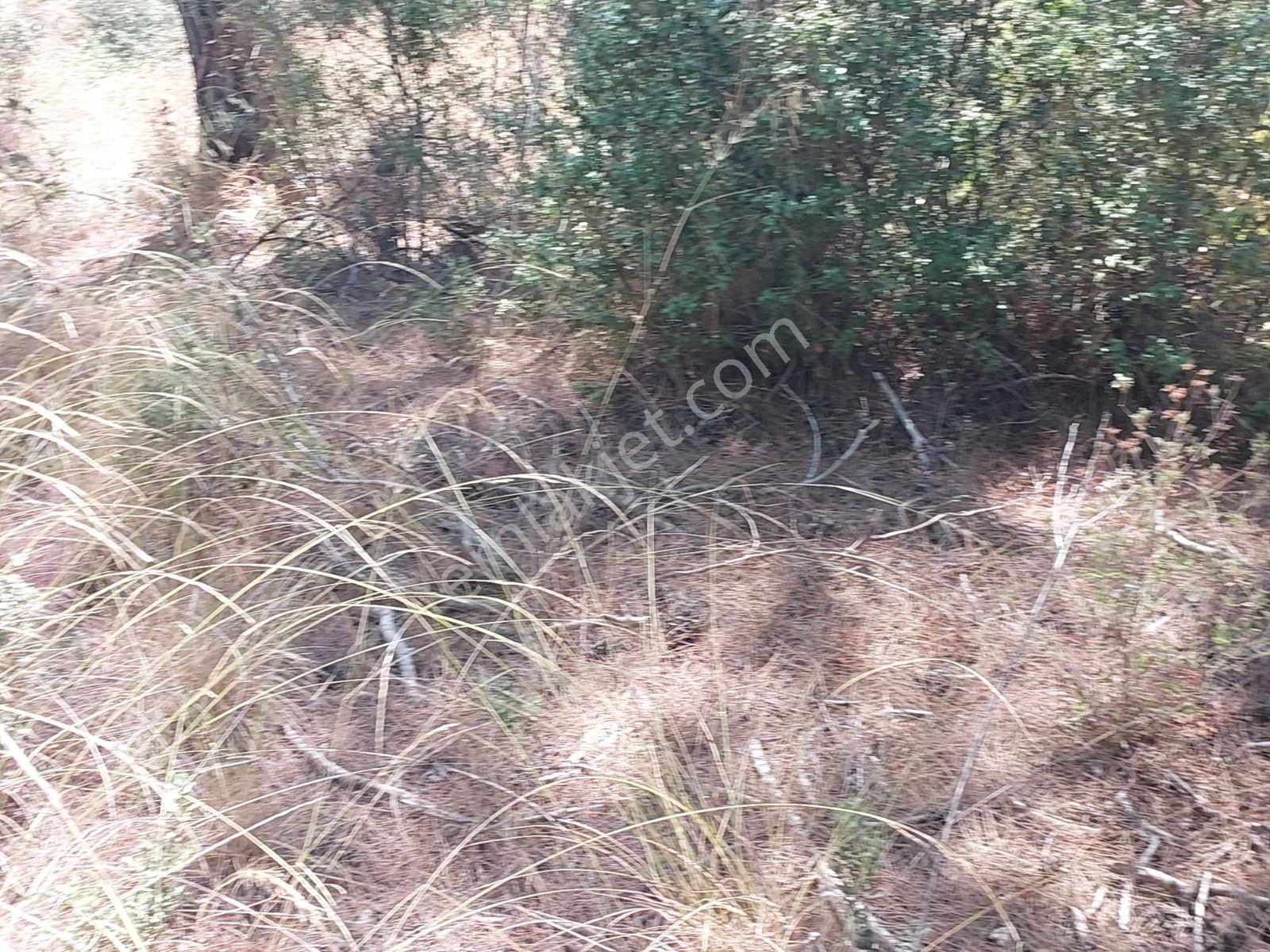 Göcekte Full Panaromik Deniz Manzaralı 6080m2 Satılık Arazi — fotoğraf 14