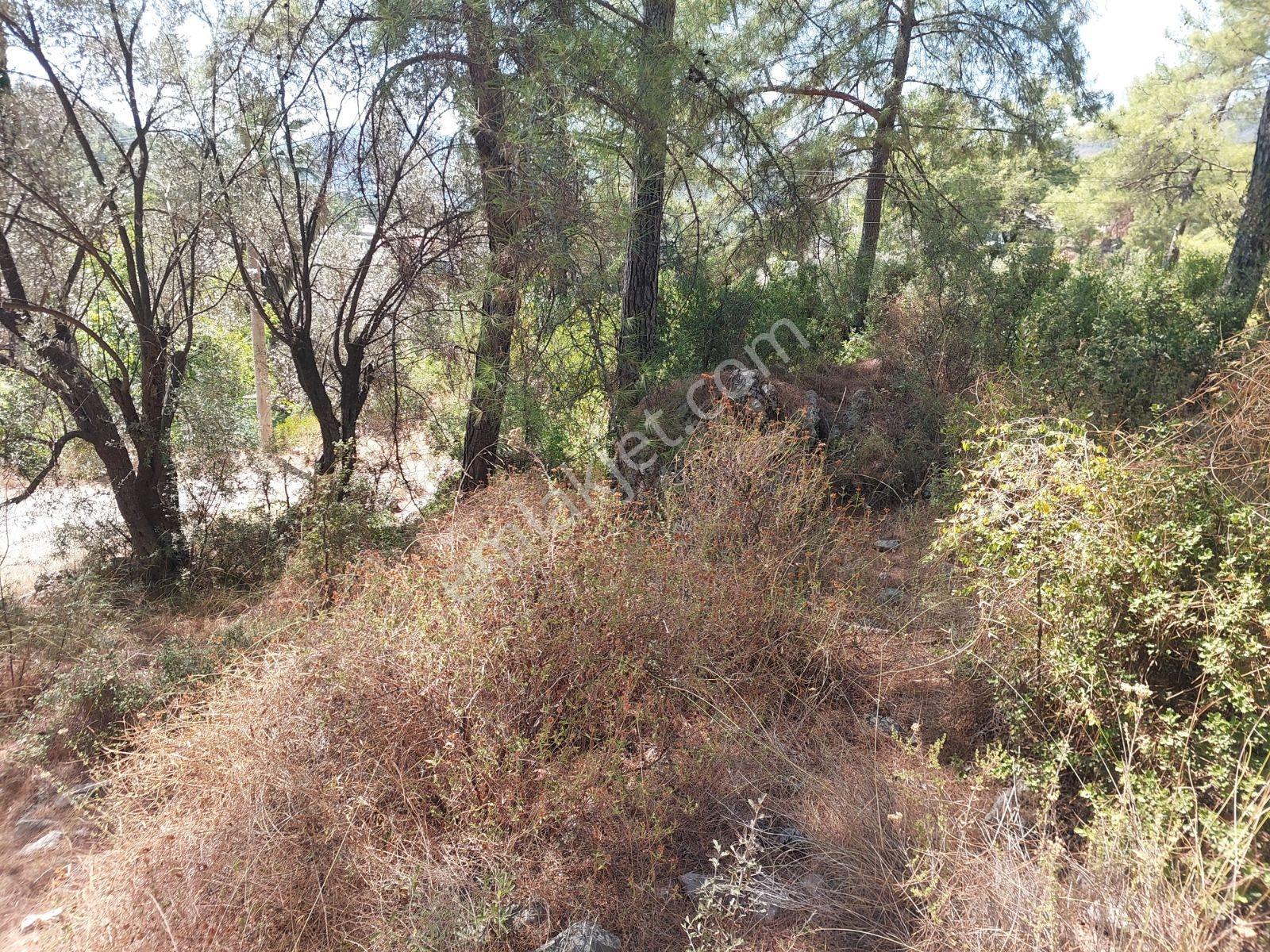 Göcekte Full Panaromik Deniz Manzaralı 6080m2 Satılık Arazi — fotoğraf 16