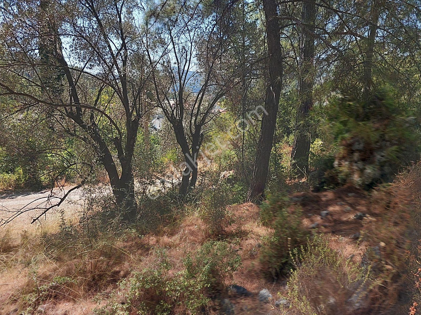 Göcekte Full Panaromik Deniz Manzaralı 6080m2 Satılık Arazi — fotoğraf 17