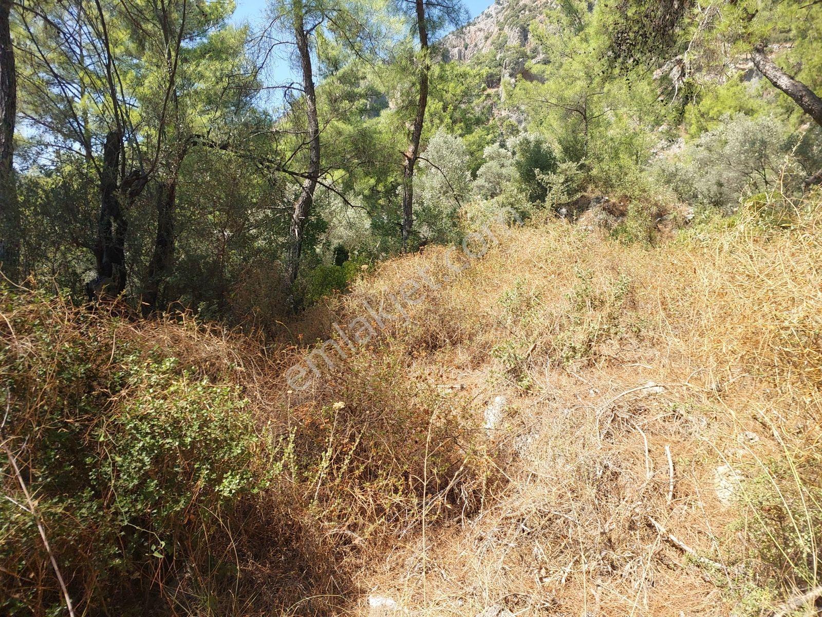 Göcekte Full Panaromik Deniz Manzaralı 6080m2 Satılık Arazi — fotoğraf 19