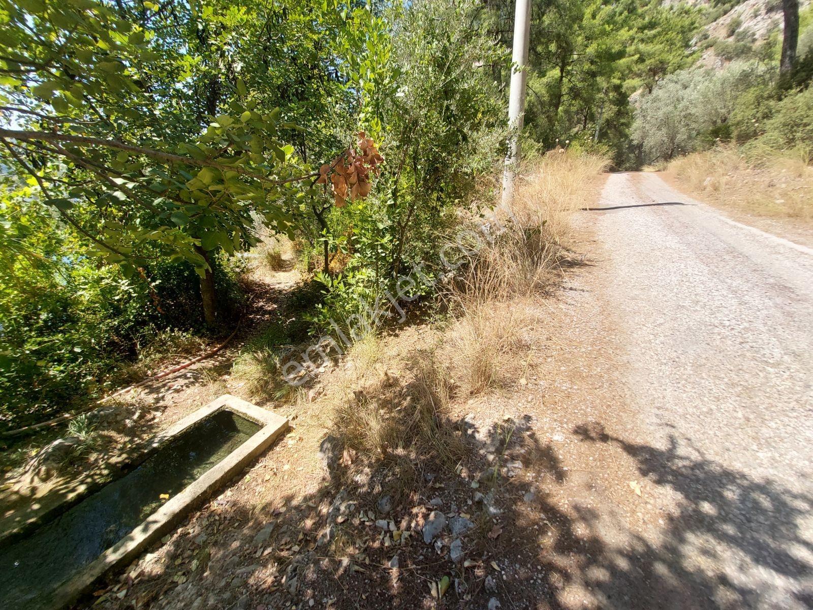 Göcekte Full Panaromik Deniz Manzaralı 6080m2 Satılık Arazi — fotoğraf 20