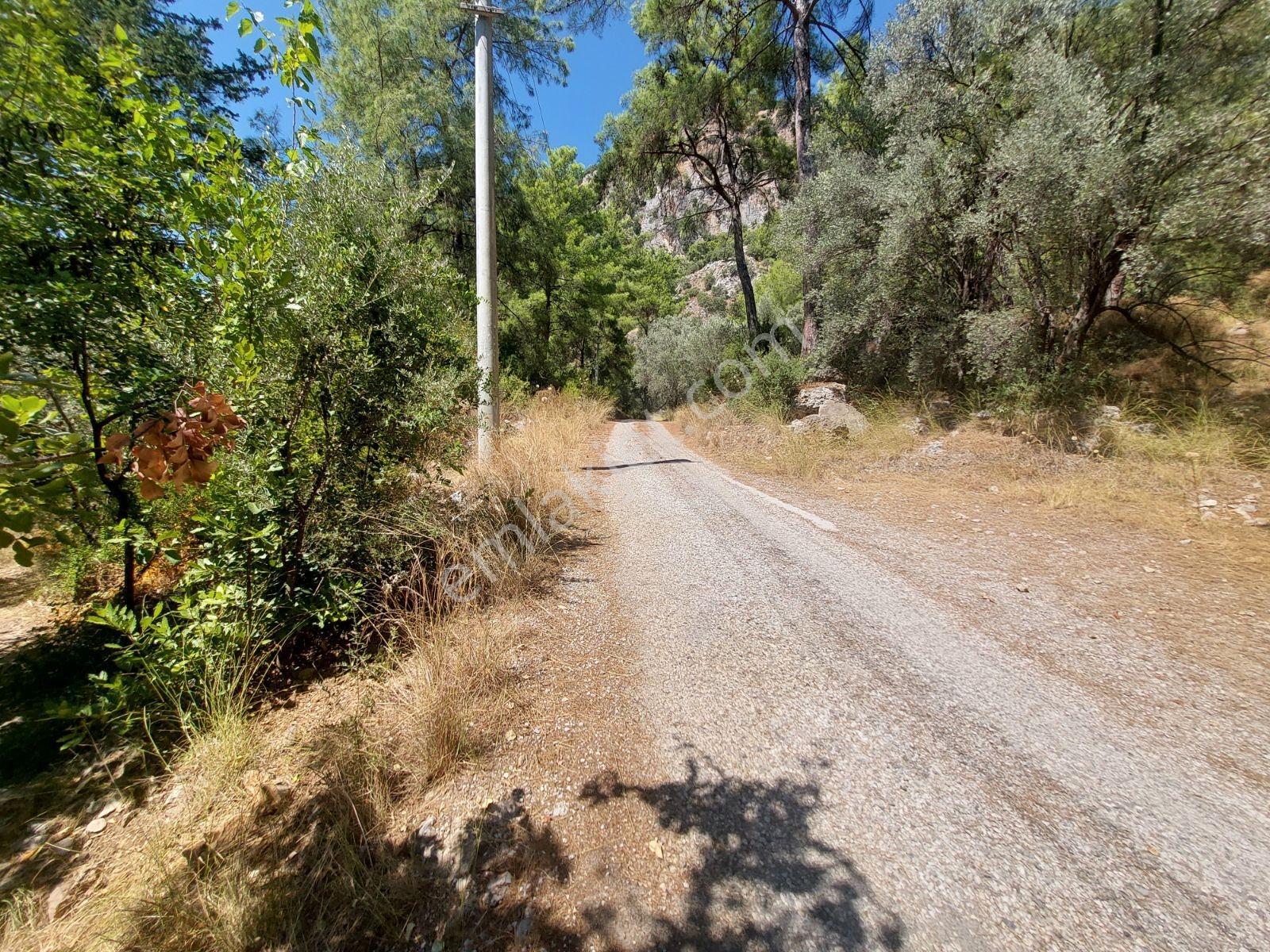 Göcekte Full Panaromik Deniz Manzaralı 6080m2 Satılık Arazi — fotoğraf 21