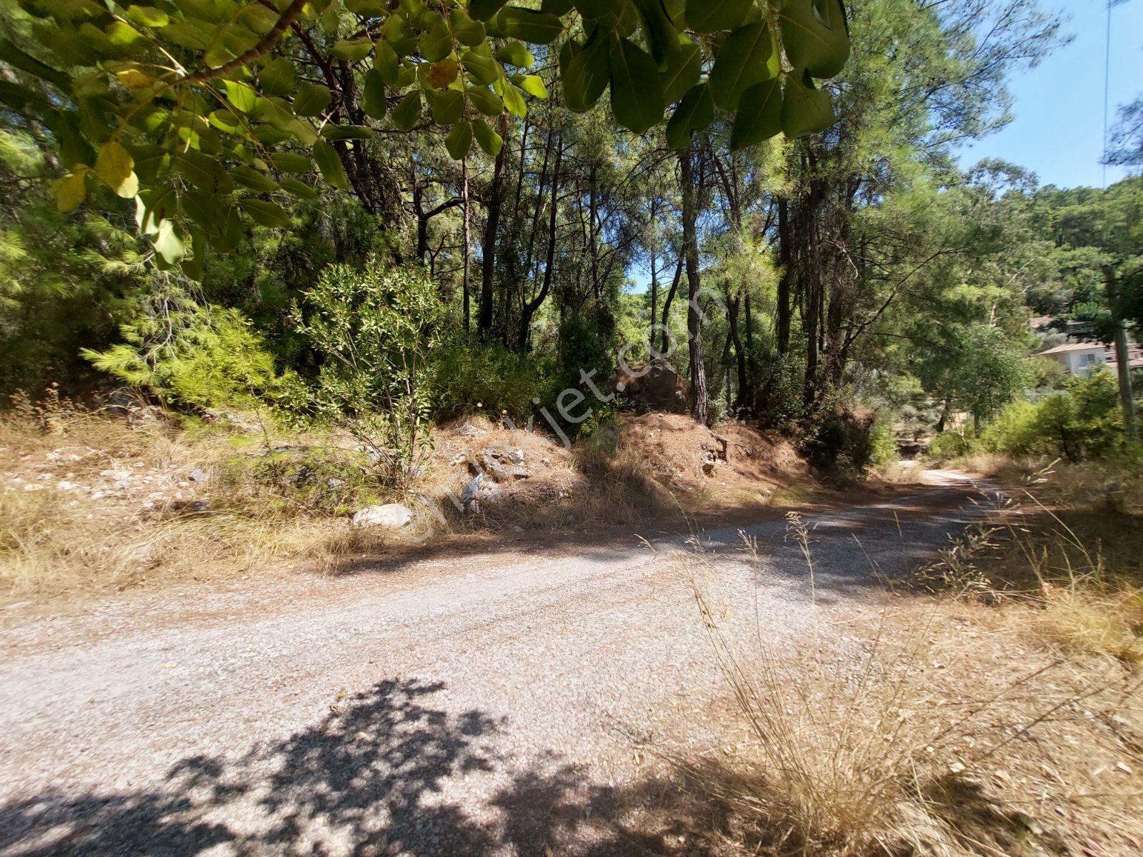 Göcekte Full Panaromik Deniz Manzaralı 6080m2 Satılık Arazi — fotoğraf 22