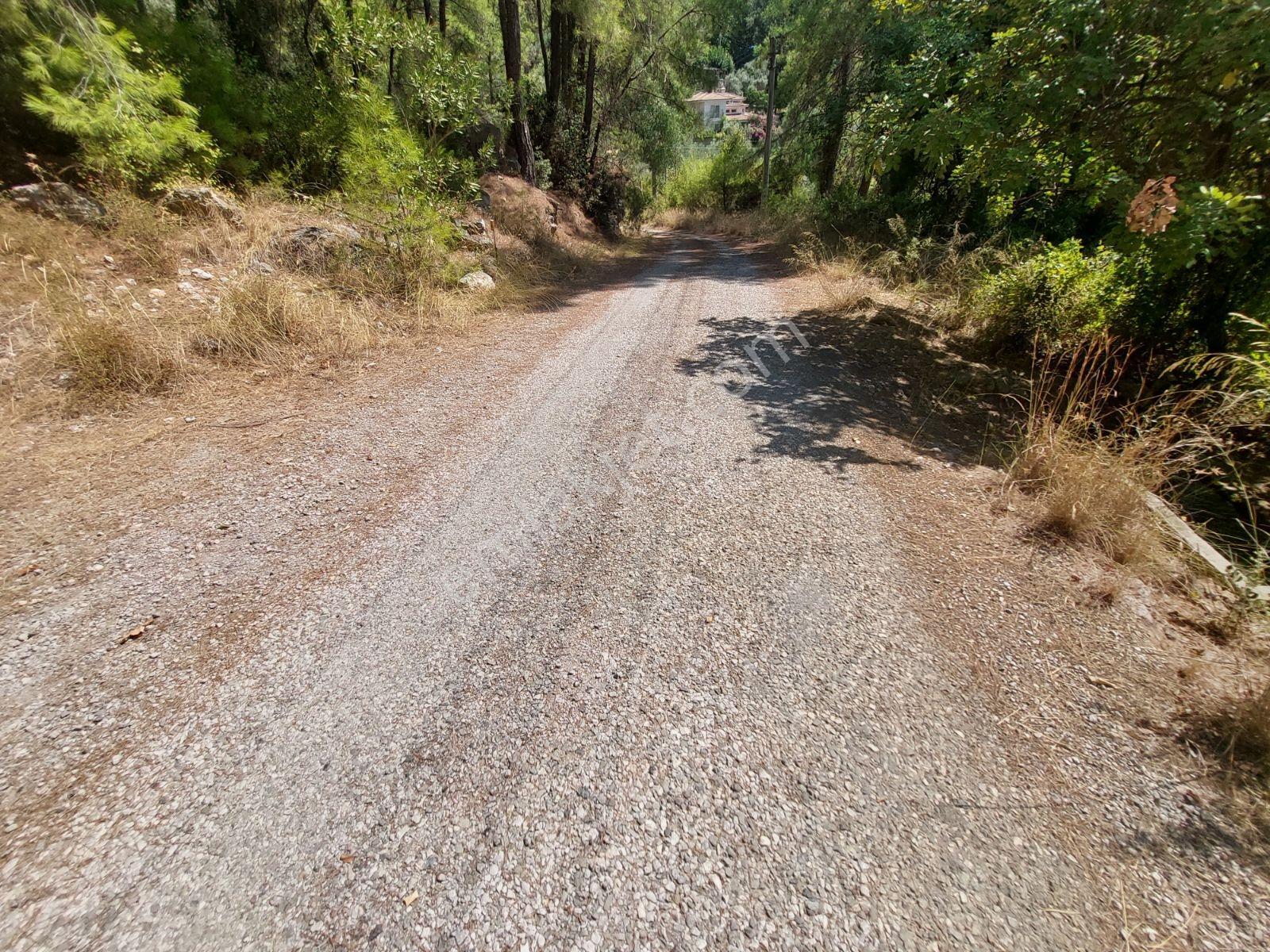 Göcekte Full Panaromik Deniz Manzaralı 6080m2 Satılık Arazi — fotoğraf 24