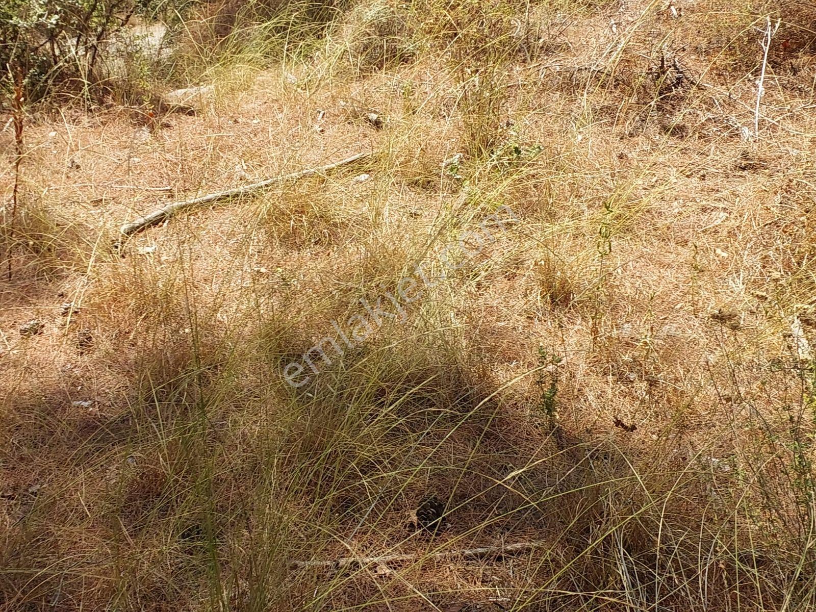 Göcekte Full Panaromik Deniz Manzaralı 6080m2 Satılık Arazi — fotoğraf 25