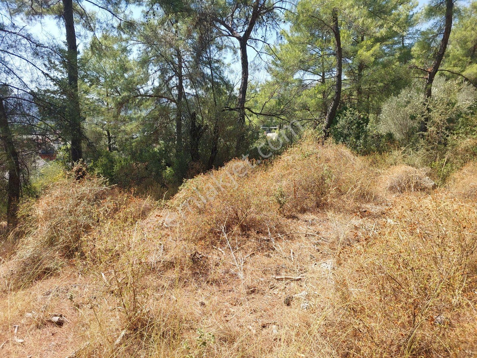 Göcekte Full Panaromik Deniz Manzaralı 6080m2 Satılık Arazi — fotoğraf 27