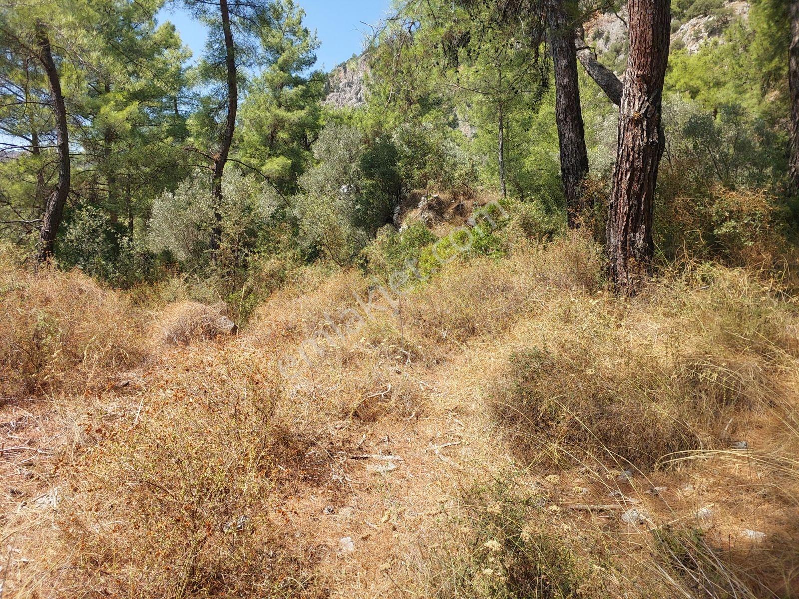 Göcekte Full Panaromik Deniz Manzaralı 6080m2 Satılık Arazi — fotoğraf 28