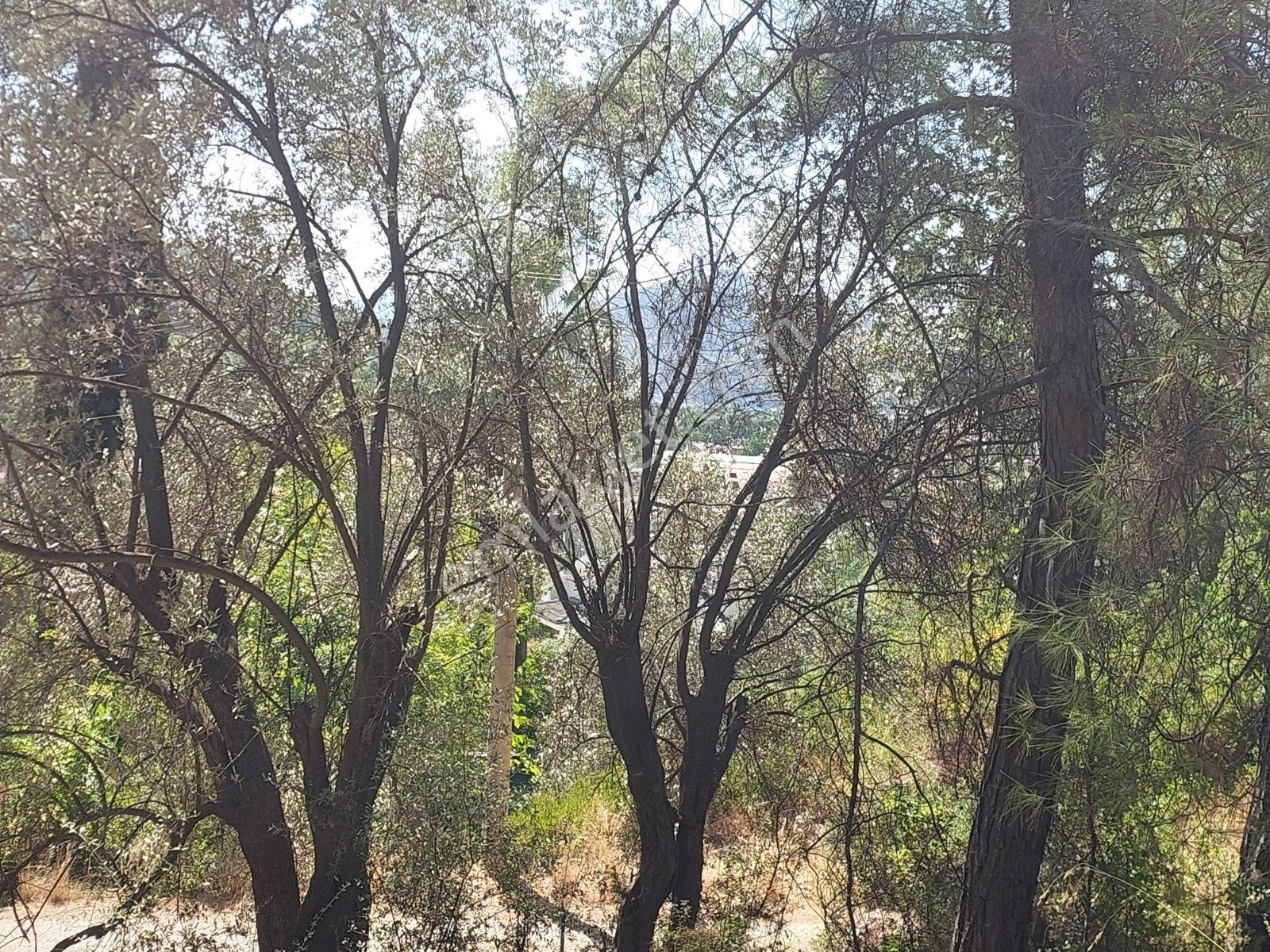 Göcekte Full Panaromik Deniz Manzaralı 6080m2 Satılık Arazi — fotoğraf 29