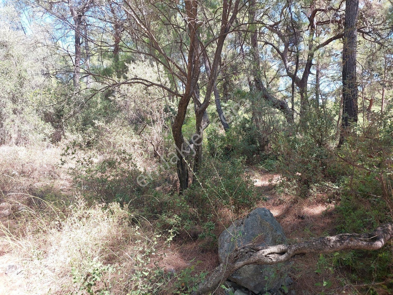 Göcekte Full Panaromik Deniz Manzaralı 6080m2 Satılık Arazi — fotoğraf 31