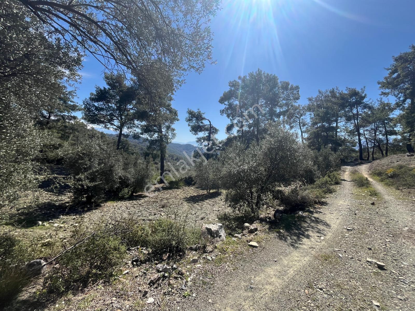 Göcekte Full Panaromik Deniz Manzaralı 6080m2 Satılık Arazi — fotoğraf 32
