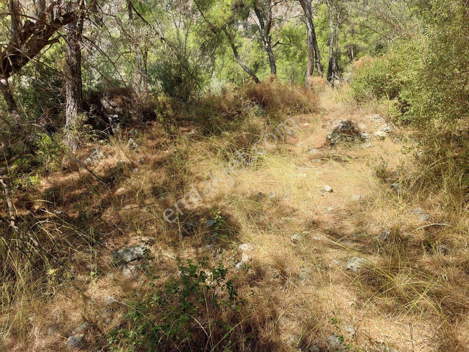 Göcekte Full Panaromik Deniz Manzaralı 6080m2 Satılık Arazi — fotoğraf 33