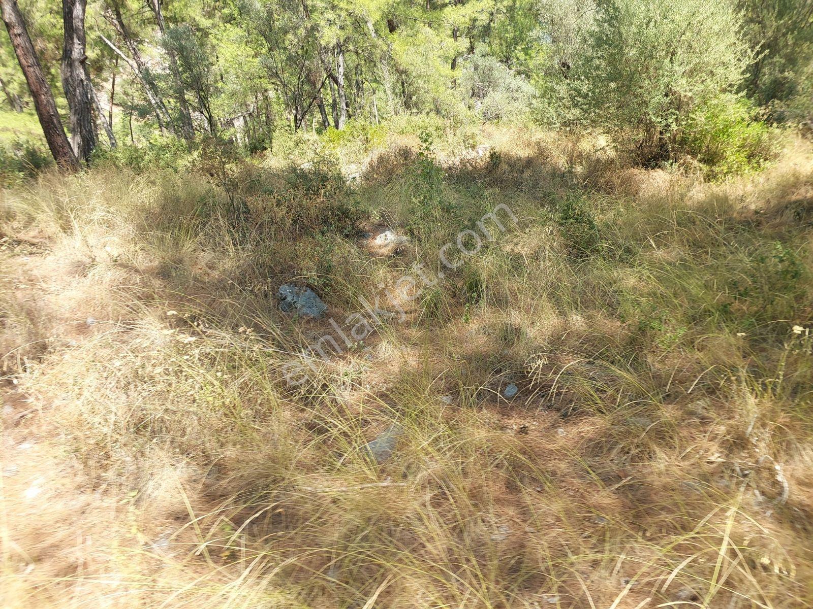 Göcekte Full Panaromik Deniz Manzaralı 6080m2 Satılık Arazi — fotoğraf 34
