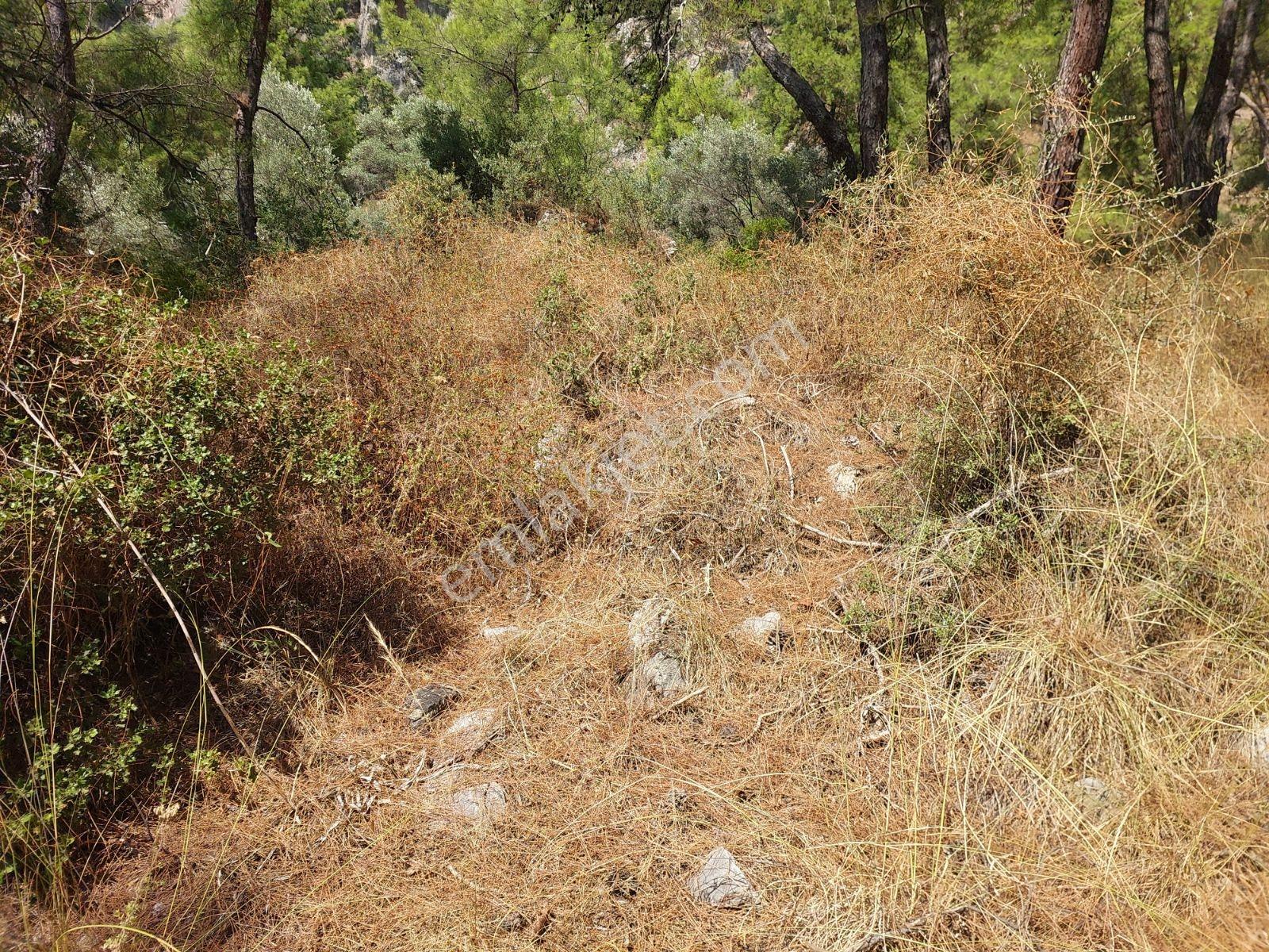 Göcekte Full Panaromik Deniz Manzaralı 6080m2 Satılık Arazi — fotoğraf 35
