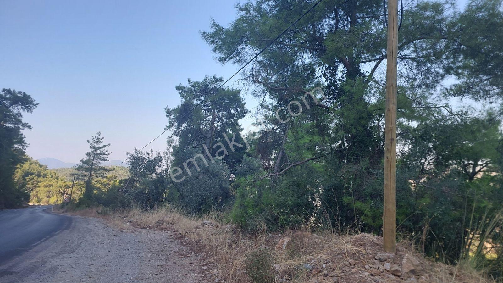 Göcekte Panoramik Turkuaz Deniz Manzaralı Satılık 40.411m2tarla — fotoğraf 3