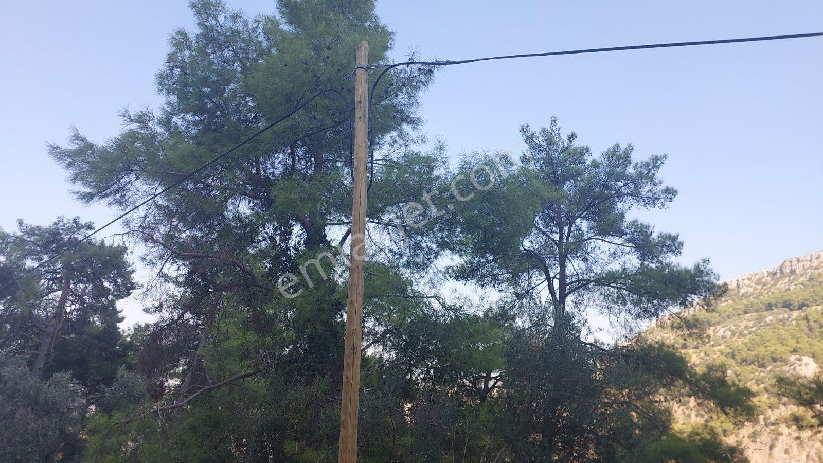 Göcekte Panoramik Turkuaz Deniz Manzaralı Satılık 40.411m2tarla — fotoğraf 4