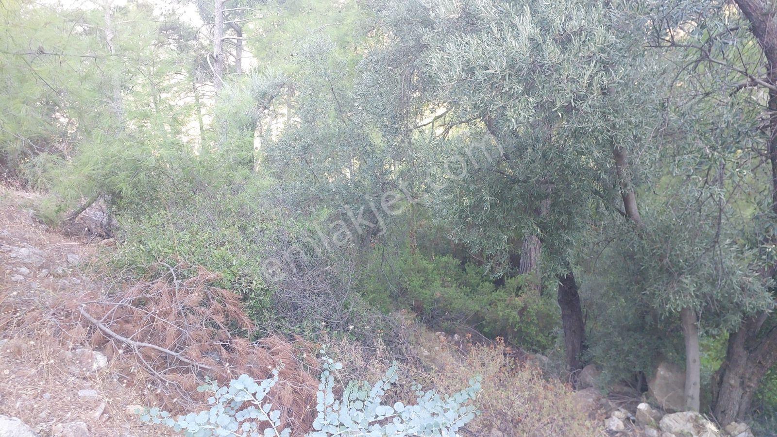 Göcekte Panoramik Turkuaz Deniz Manzaralı Satılık 40.411m2tarla — fotoğraf 6
