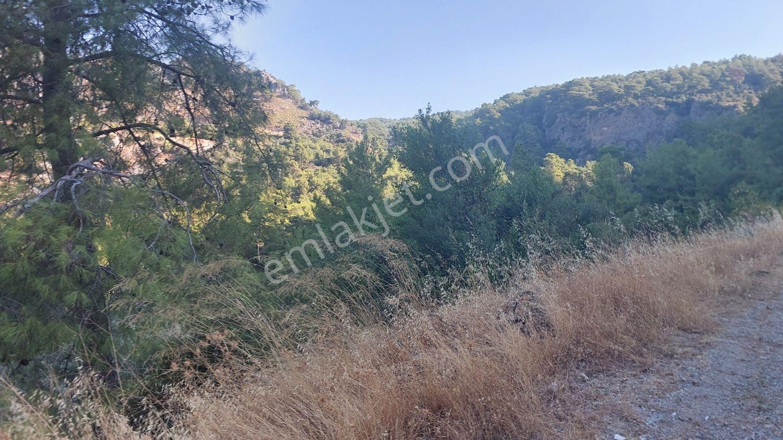Göcekte Panoramik Turkuaz Deniz Manzaralı Satılık 40.411m2tarla — fotoğraf 8