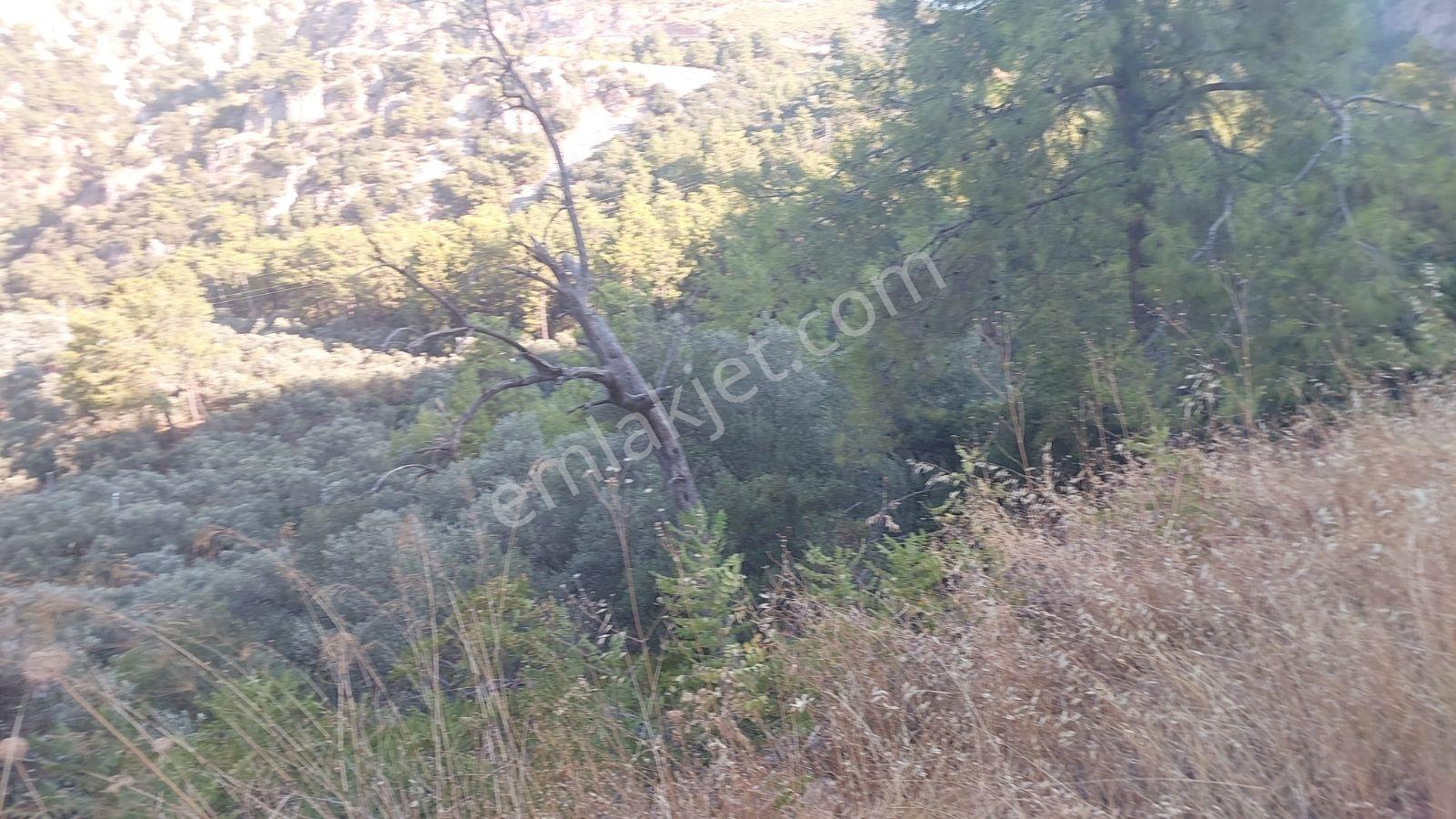 Göcekte Panoramik Turkuaz Deniz Manzaralı Satılık 40.411m2tarla — fotoğraf 9