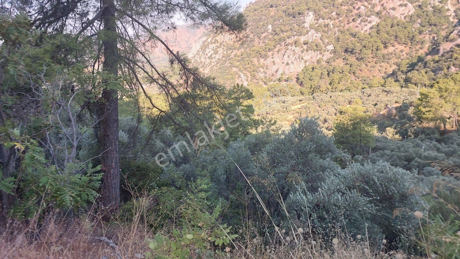 Göcekte Panoramik Turkuaz Deniz Manzaralı Satılık 40.411m2tarla — fotoğraf 10