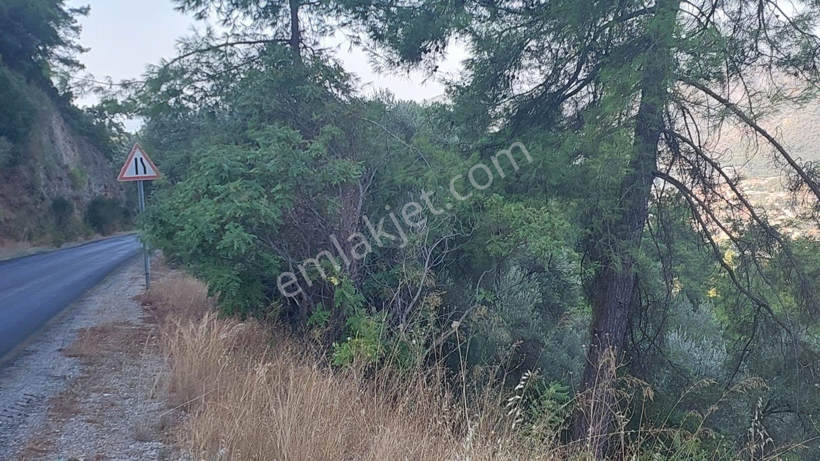 Göcekte Panoramik Turkuaz Deniz Manzaralı Satılık 40.411m2tarla — fotoğraf 11