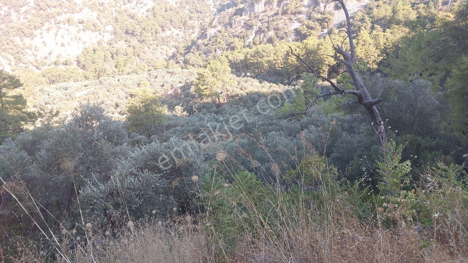 Göcekte Panoramik Turkuaz Deniz Manzaralı Satılık 40.411m2tarla — fotoğraf 13