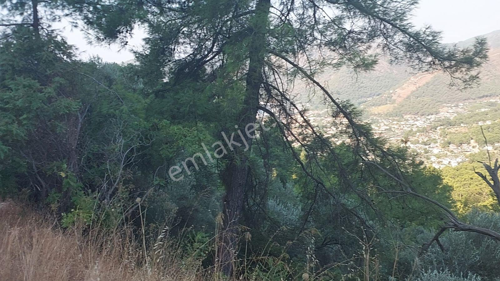 Göcekte Panoramik Turkuaz Deniz Manzaralı Satılık 40.411m2tarla — fotoğraf 14