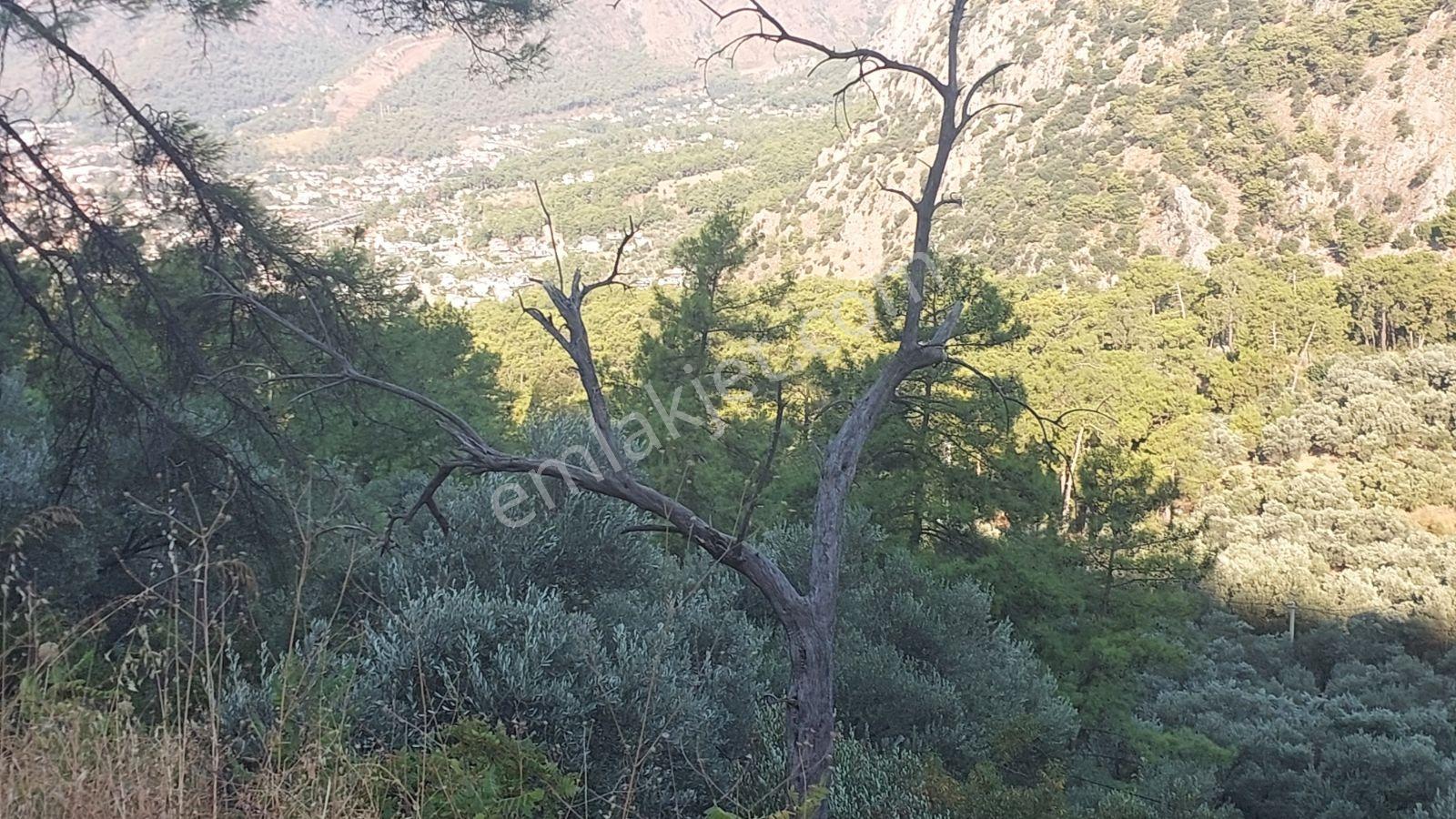 Göcekte Panoramik Turkuaz Deniz Manzaralı Satılık 40.411m2tarla — fotoğraf 15