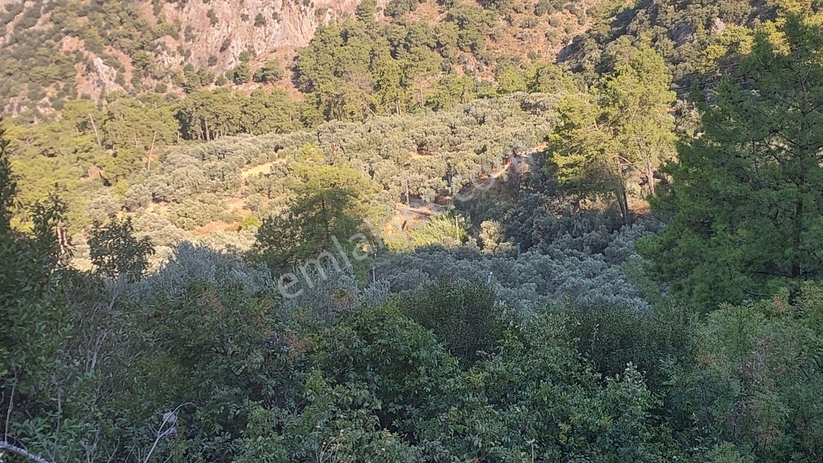Göcekte Panoramik Turkuaz Deniz Manzaralı Satılık 40.411m2tarla — fotoğraf 16