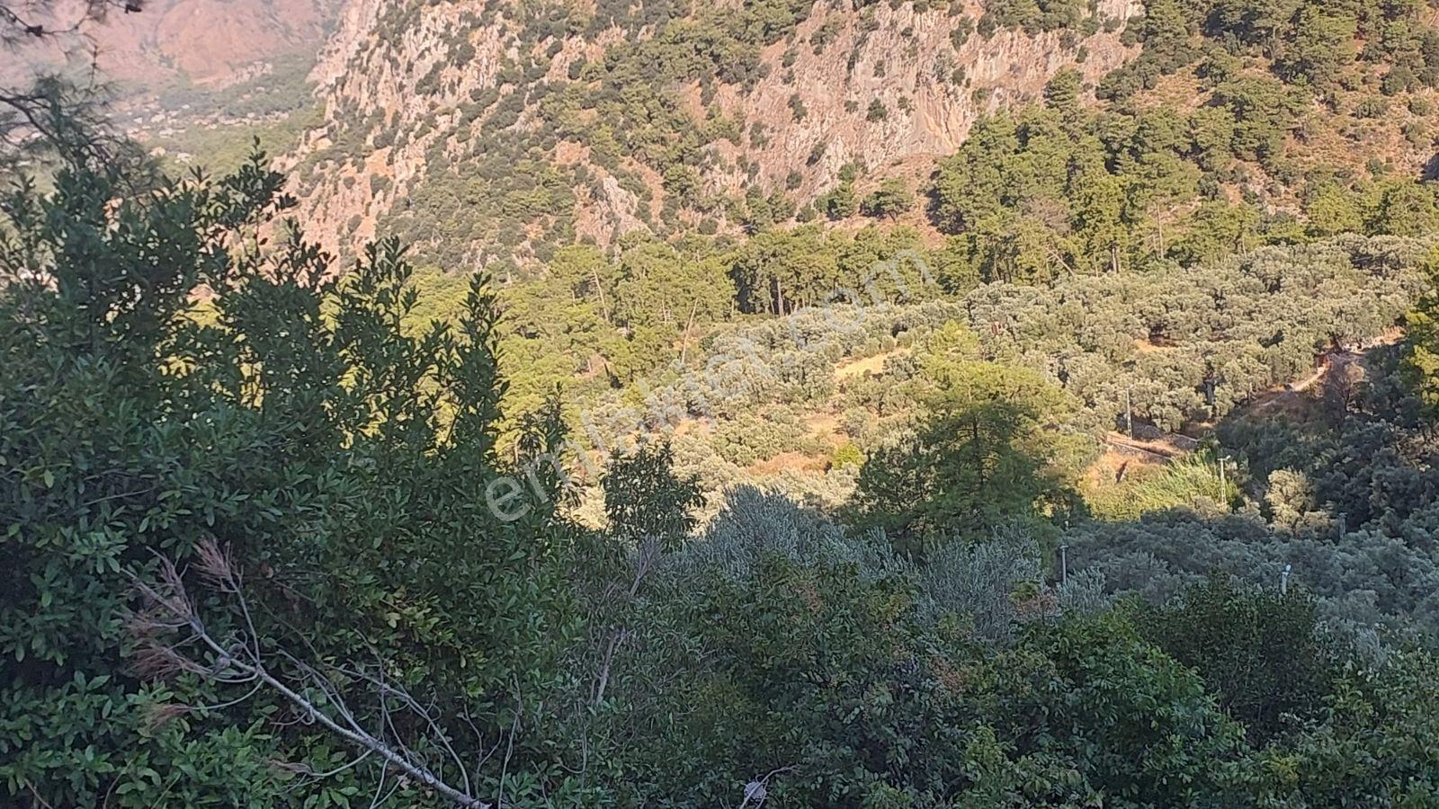 Göcekte Panoramik Turkuaz Deniz Manzaralı Satılık 40.411m2tarla — fotoğraf 17