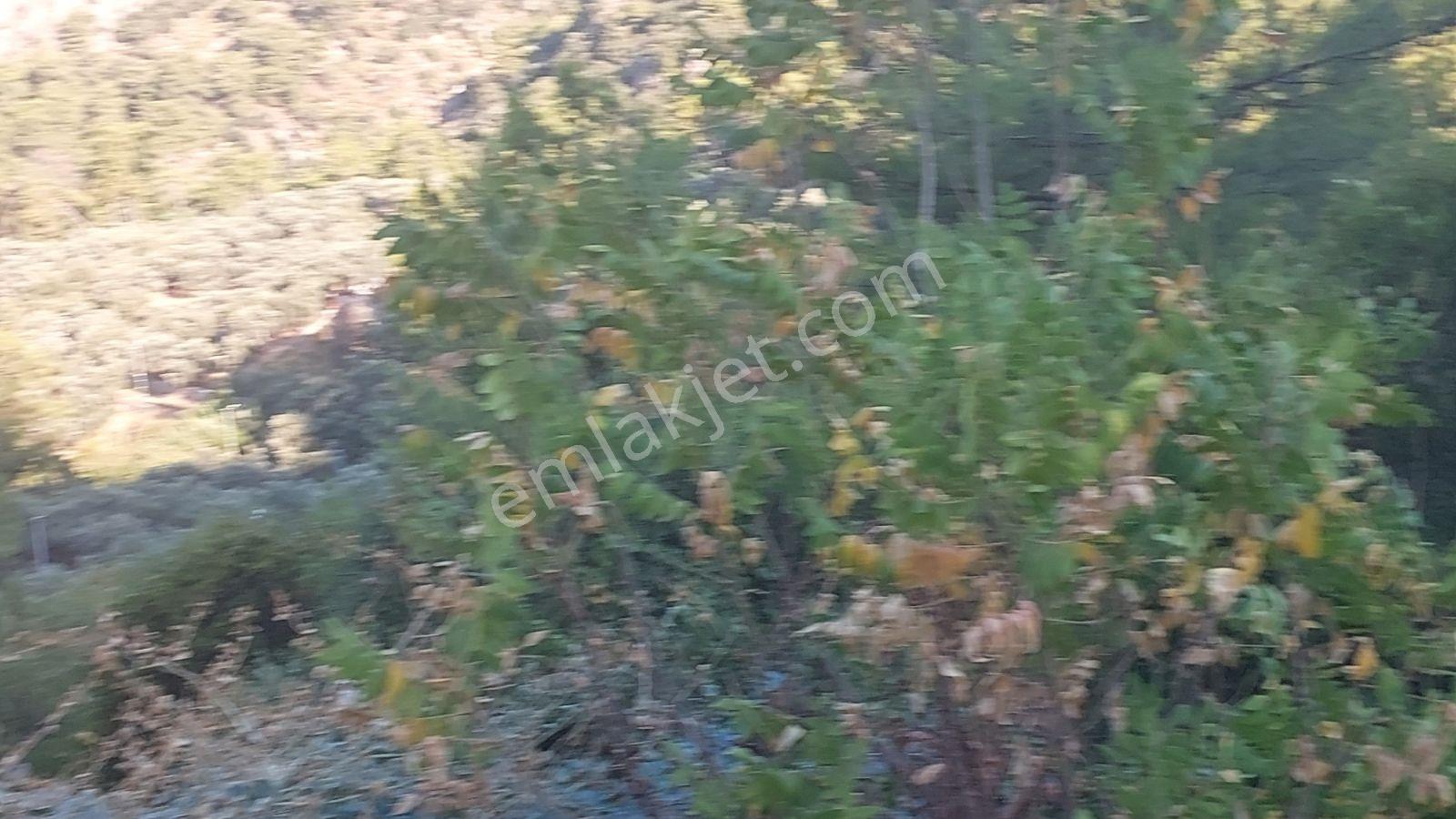 Göcekte Panoramik Turkuaz Deniz Manzaralı Satılık 40.411m2tarla — fotoğraf 18
