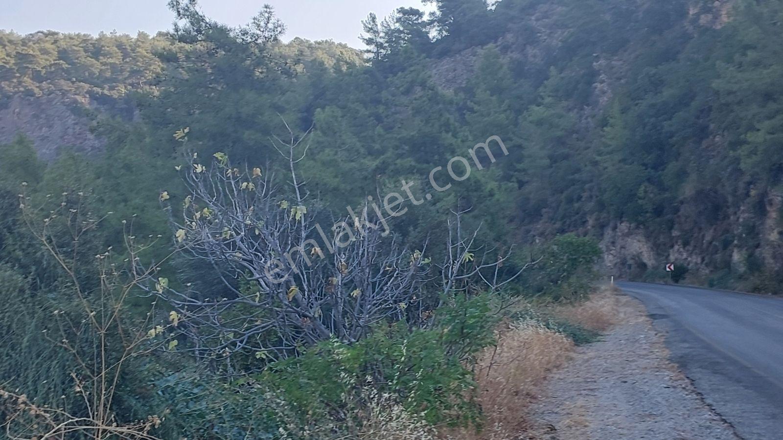 Göcekte Panoramik Turkuaz Deniz Manzaralı Satılık 40.411m2tarla — fotoğraf 19