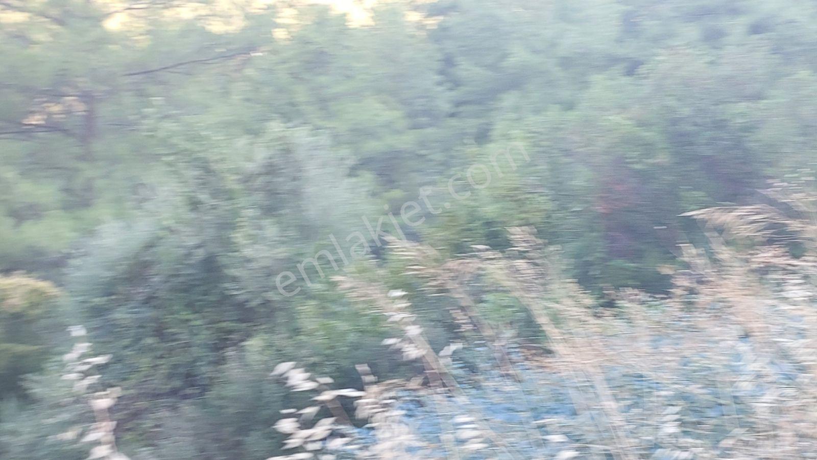 Göcekte Panoramik Turkuaz Deniz Manzaralı Satılık 40.411m2tarla — fotoğraf 20