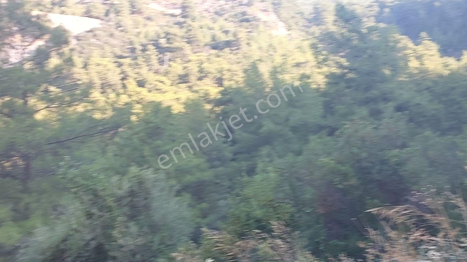 Göcekte Panoramik Turkuaz Deniz Manzaralı Satılık 40.411m2tarla — fotoğraf 22
