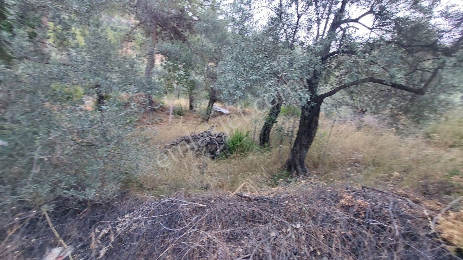 Göcekte Panoramik Turkuaz Deniz Manzaralı Satılık 40.411m2tarla — fotoğraf 29