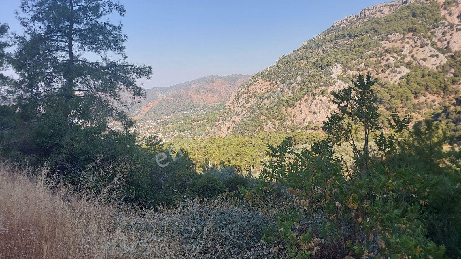 Göcekte Panoramik Turkuaz Deniz Manzaralı Satılık 40.411m2tarla — fotoğraf 32