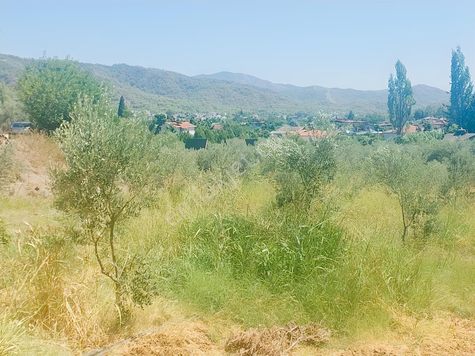 Fethiye Kargı Mahallesinde Müstakil Tapulu Satılık 504m2 Tarla — fotoğraf 2
