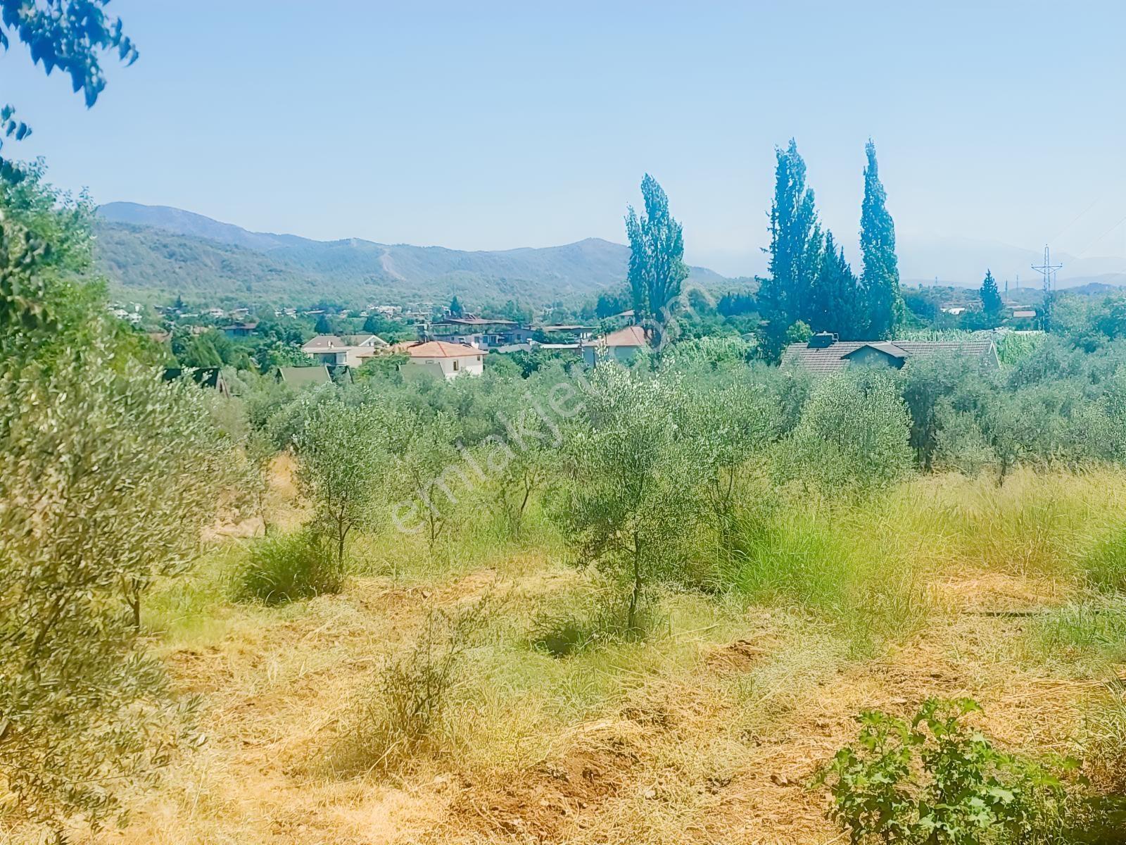 Fethiye Kargı Mahallesinde Müstakil Tapulu Satılık 504m2 Tarla — fotoğraf 3