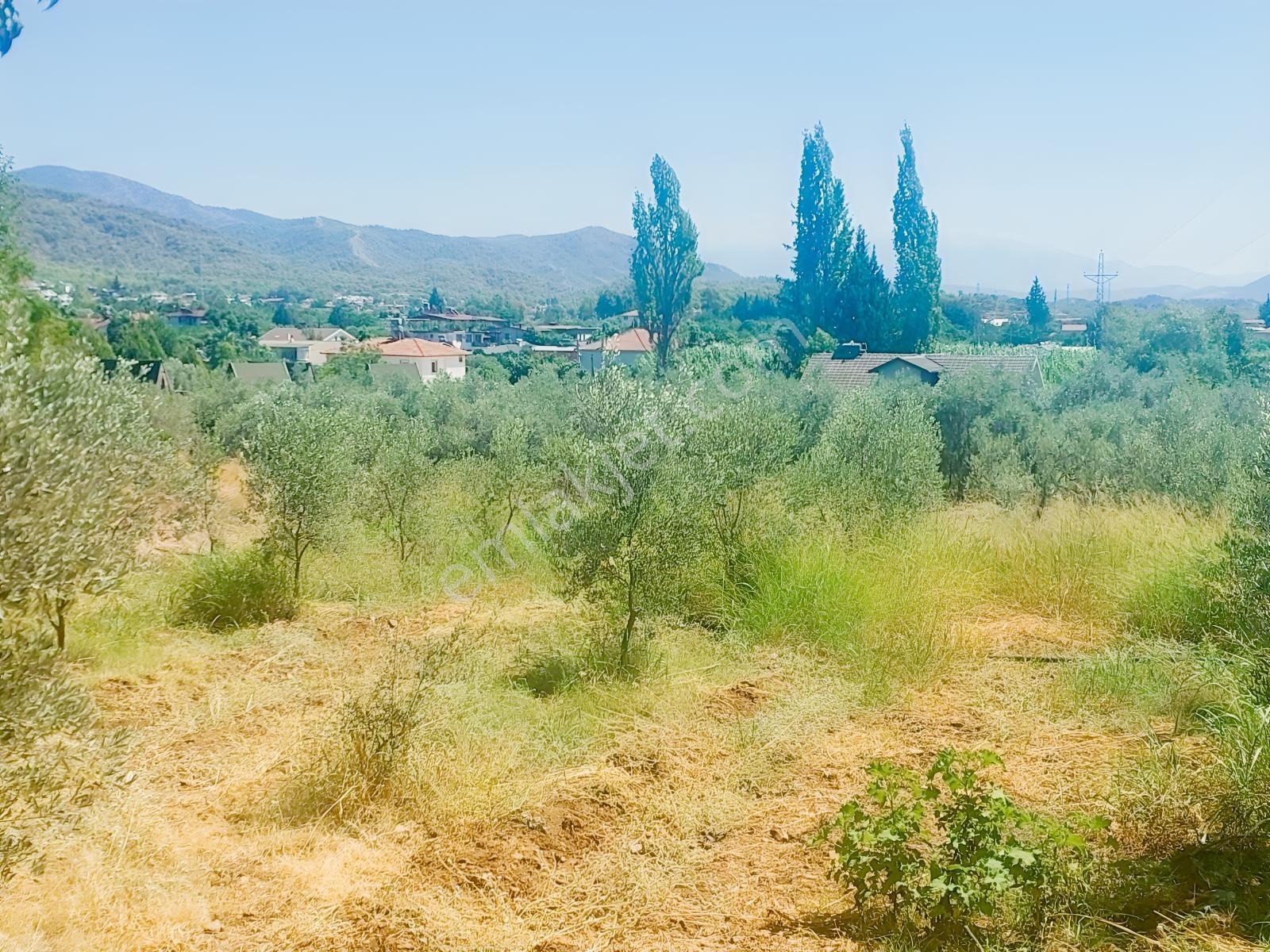 Fethiye Kargı Mahallesinde Müstakil Tapulu Satılık 504m2 Tarla — fotoğraf 4