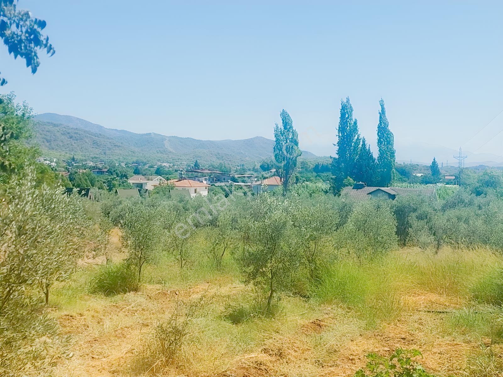 Fethiye Kargı Mahallesinde Müstakil Tapulu Satılık 504m2 Tarla — fotoğraf 5