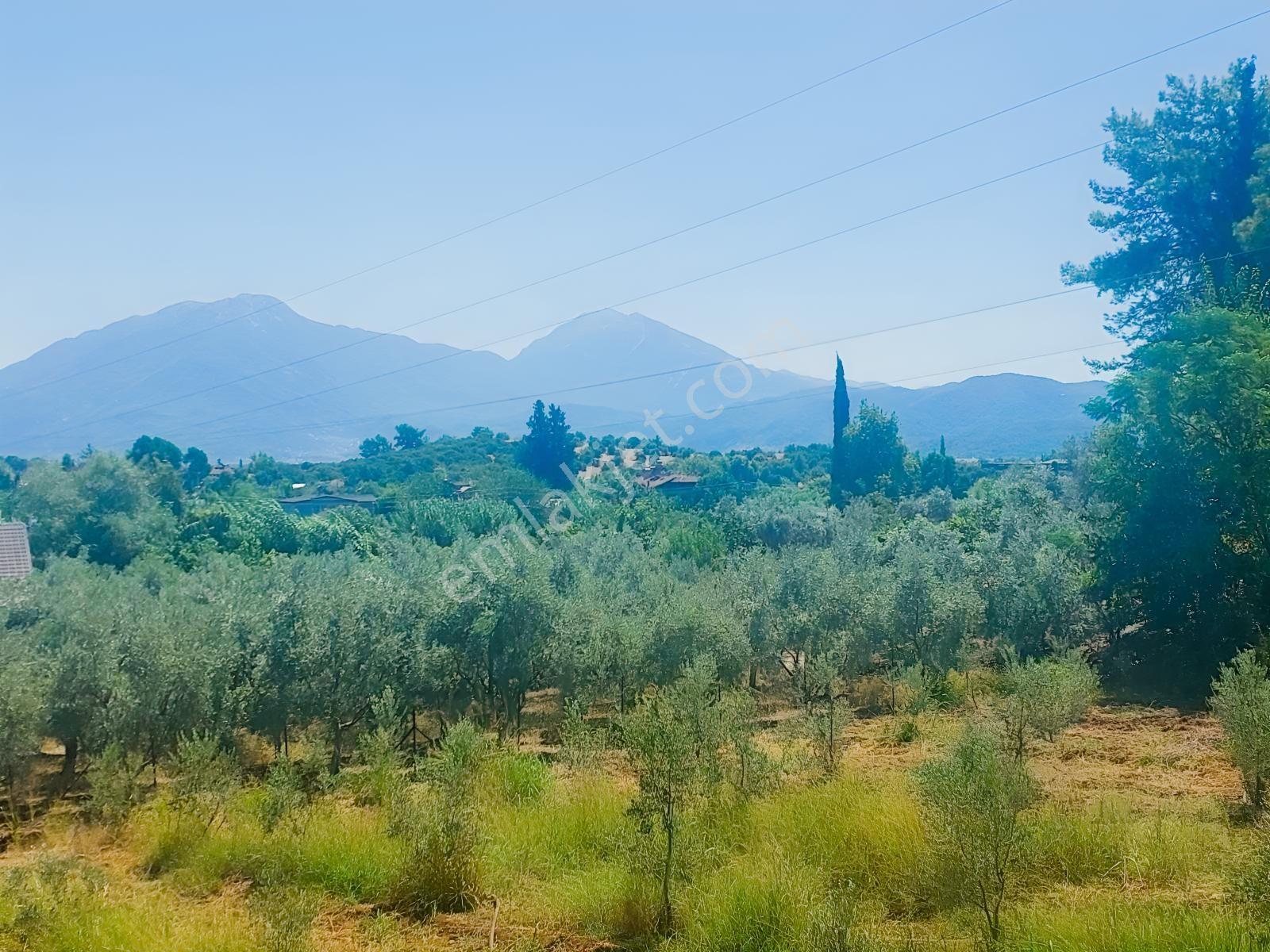 Fethiye Kargı Mahallesinde Müstakil Tapulu Satılık 504m2 Tarla — fotoğraf 8