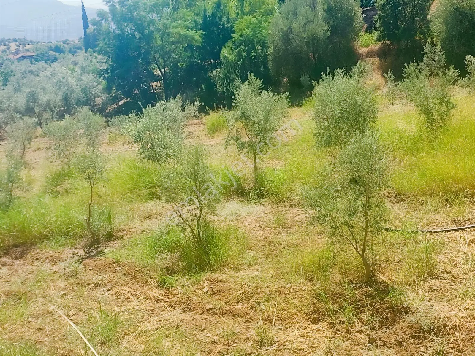 Fethiye Kargı Mahallesinde Müstakil Tapulu Satılık 504m2 Tarla — fotoğraf 10