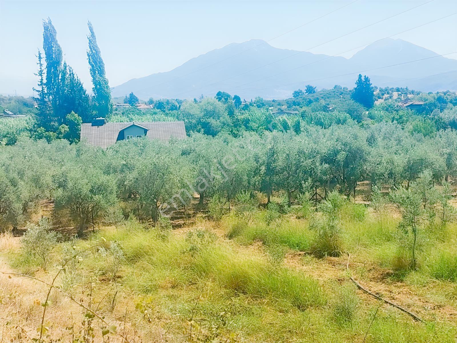 Fethiye Kargı Mahallesinde Müstakil Tapulu Satılık 504m2 Tarla — fotoğraf 11